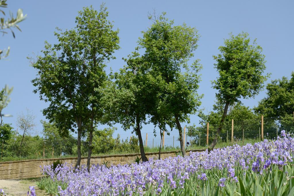 Agriturismo Villa Iris Castelfranco di Sopra Eksteriør bilde