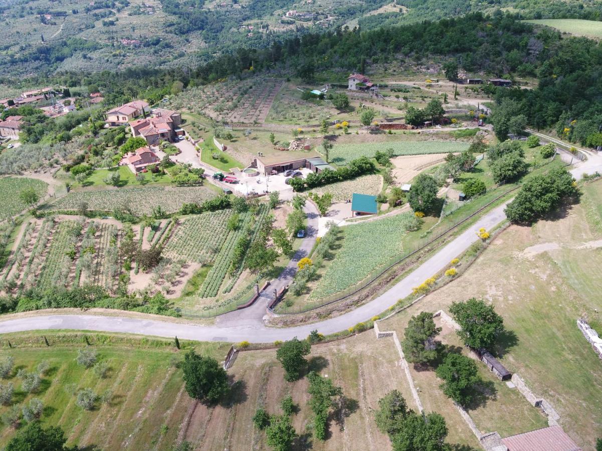 Agriturismo Villa Iris Castelfranco di Sopra Eksteriør bilde