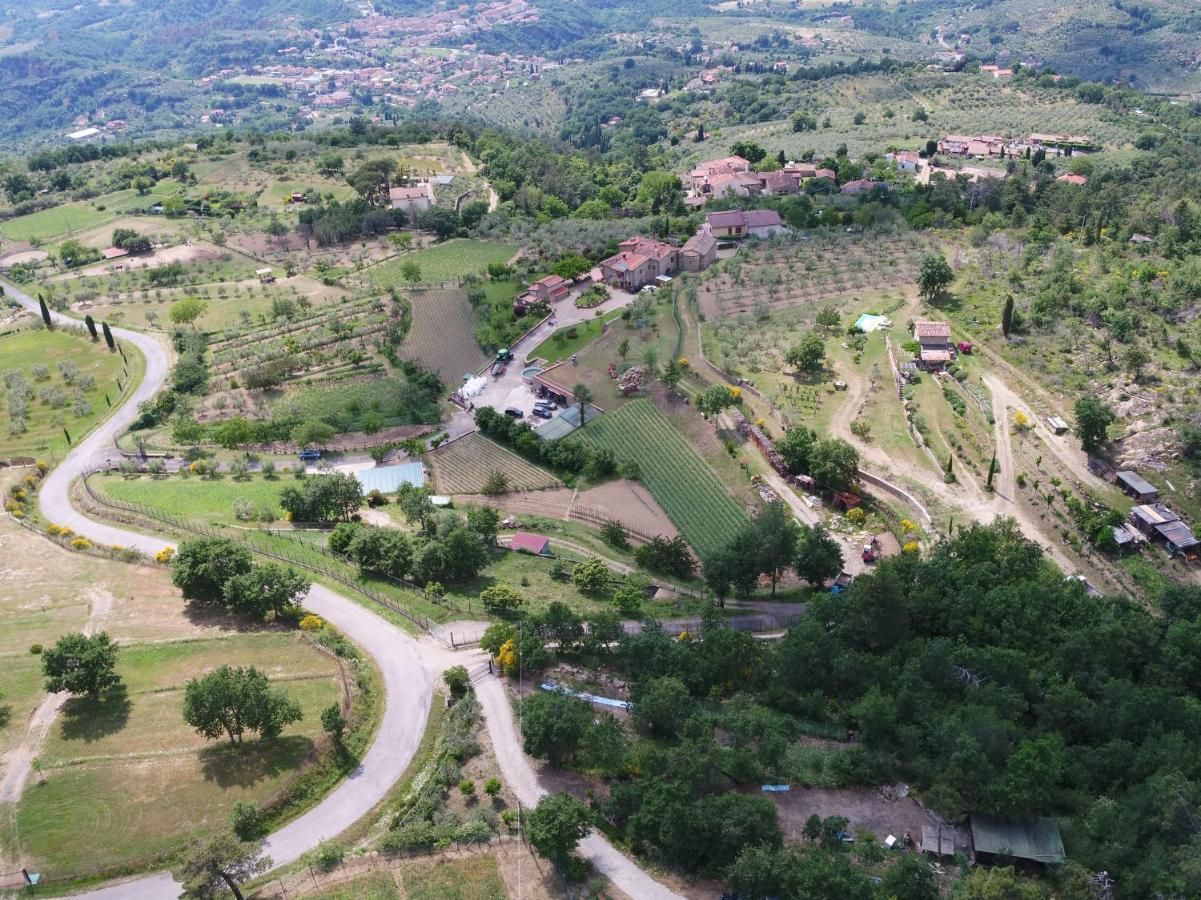 Agriturismo Villa Iris Castelfranco di Sopra Eksteriør bilde